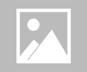 枣庄市疫情办公室(枣庄疫情防控询问电话)