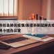 新密市抗击肺炎疫情/新密市新冠肺炎疫情防控领导小组办公室