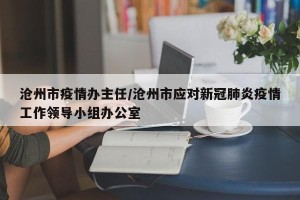 沧州市疫情办主任/沧州市应对新冠肺炎疫情工作领导小组办公室